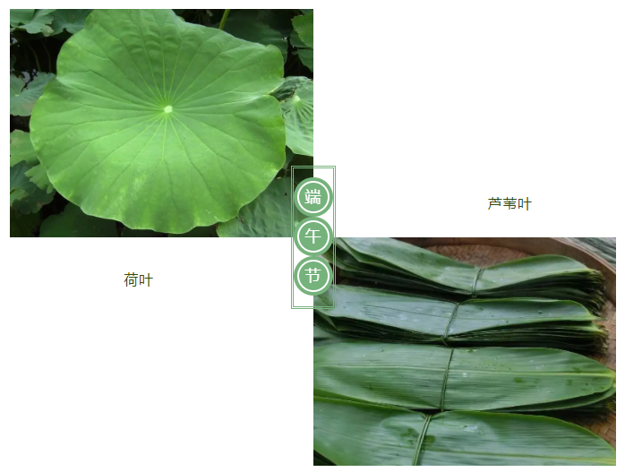 pa视讯医纺